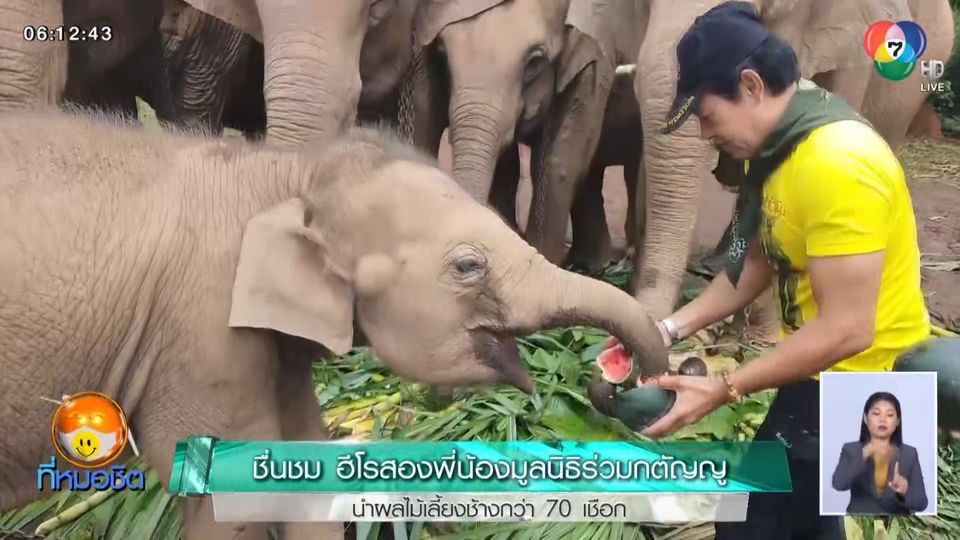 ชื่นชม ฮีโรสองพี่น้องมูลนิธิร่วมกตัญญู นำผลไม้เลี้ยงช้างกว่า 70 เชือก - ช่อง 7
