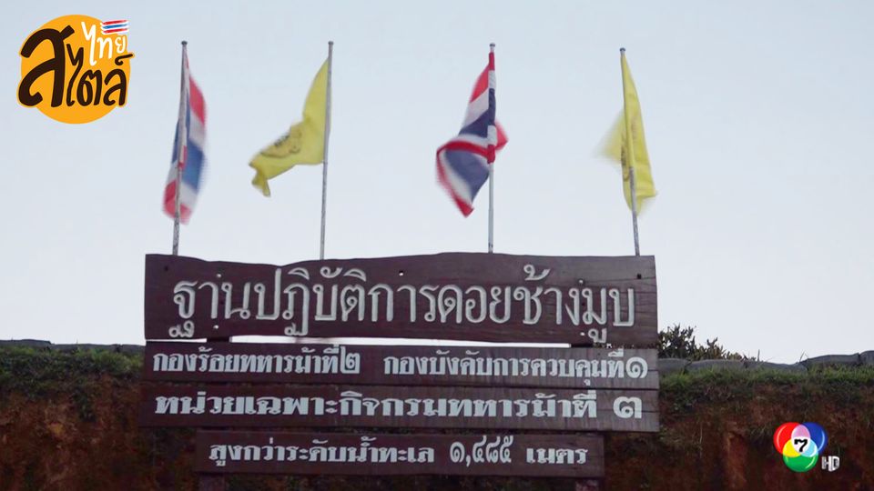 https://cdni-cf.ch7.com/i/images/2020/11/12/5facbe11023c09.00740974.jpg