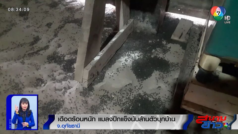 ข าวช อง 7hd
