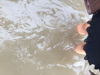 โซเชียลแห่แชร์ภาพน้ำท่วมถนนรัชดาหน้าศาลอาญา ปริมาณน้ำสูงเกือบถึงเข่า