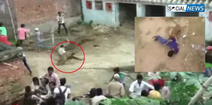 หนีตายระทึก! เสือดาวป่าบุกไล่กัดคนในอินเดีย วิ่งแตกตื่นทั้งหมู่บ้าน เจ็บ 10 ราย