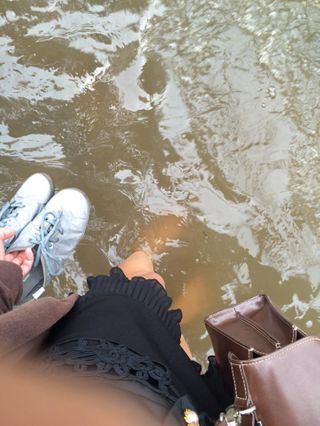 โซเชียลแห่แชร์ภาพน้ำท่วมถนนรัชดาหน้าศาลอาญา ปริมาณน้ำสูงเกือบถึงเข่า