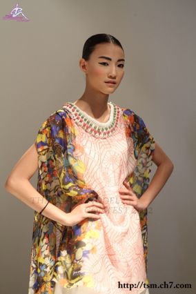 เดินแฟชั่นโชว์งาน Tube Gallery S/S 13, Chin : Unmarked