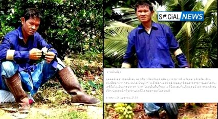 ชื่นชมบุคคลตัวอย่าง! ดร.ปรีชา เรืองจันทร์ อดีตผู้ว่าฯพิษณุโลก เหชีวิตมาทำไร่ทำนา