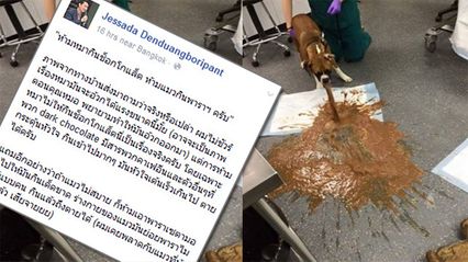 อาจารย์เจษฎา ไขคำตอบ ห้ามหมากินช็อกโกแลต อันตรายถึงตาย!     