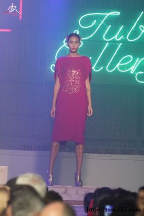 เดินแฟชั่นโชว์งาน Tube Gallery S/S 13, Chin : Unmarked